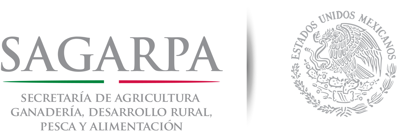 Logotipo de cliente satisfecho con remodelación corporativa 12